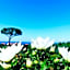 B&b Il sogno