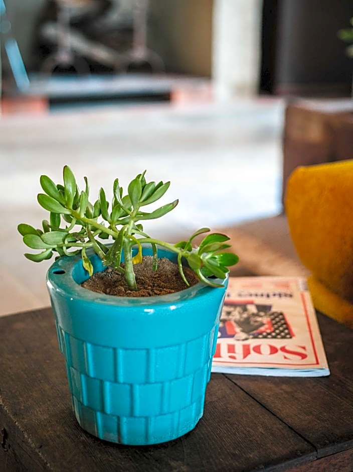 Eco lodge Carbonaccio