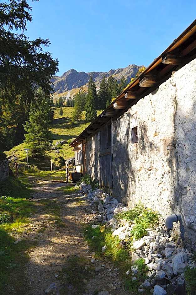 Grüner Hut - DEIN BERGHOTEL