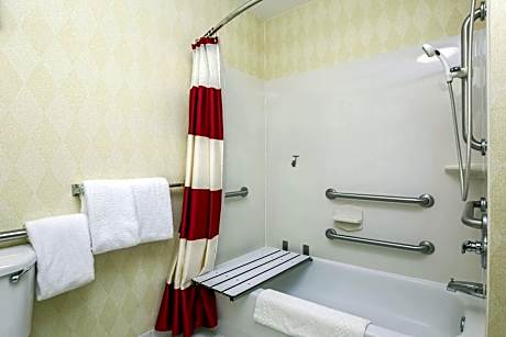 Suite, 1 Bedroom (1 Queen Bed)