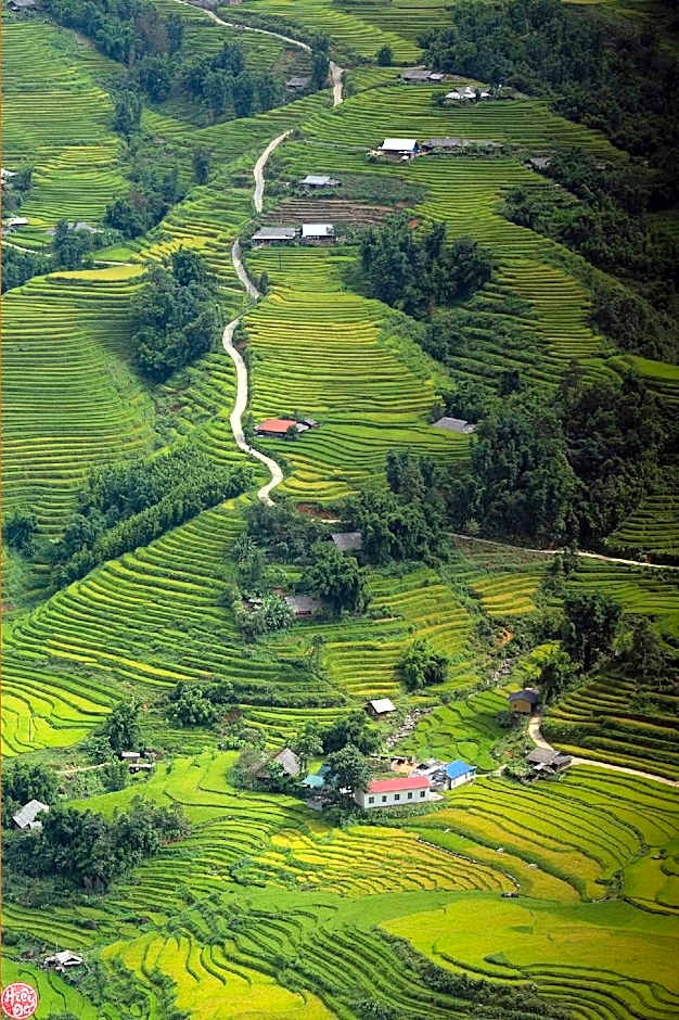 Regal Sapa Hotel