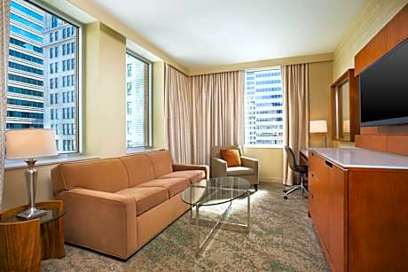 Studio Suite, 1 King, Sofa bed, City view