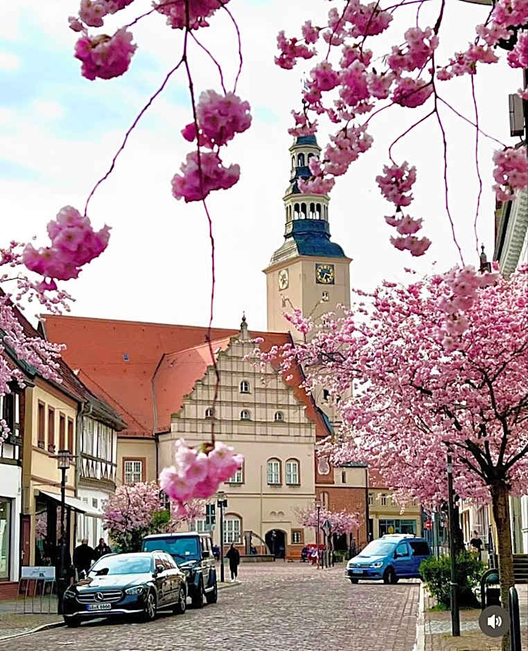 Hotel Doko Gardelegen