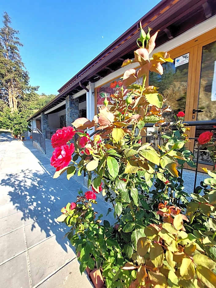 Agros Green Valley Suites