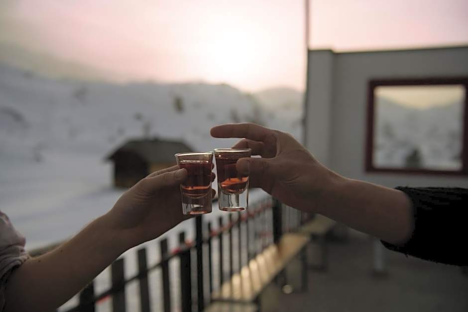 Gjaid-Alm 1739m am Dachstein-Only Accessible by Cable Car