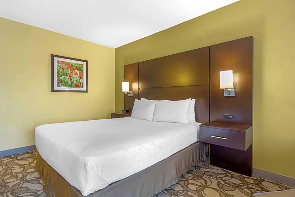 Best Western Plus Plaza By The Green