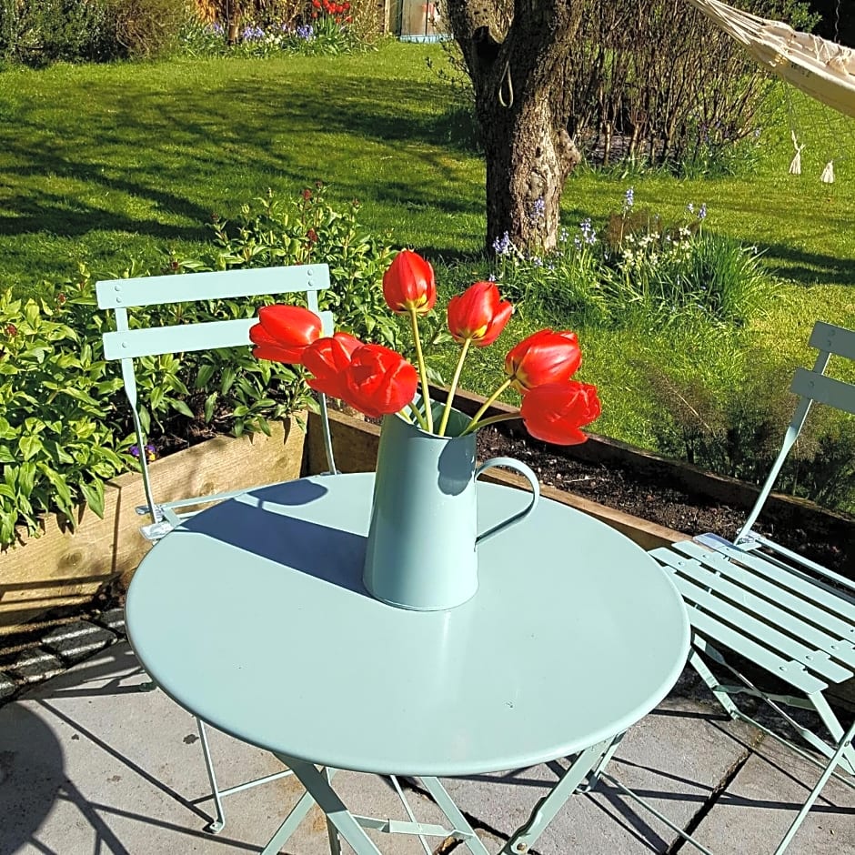 The Dorm Bed and Breakfast