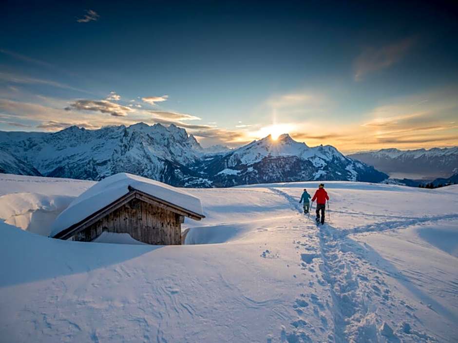 Hotel Victoria Meiringen