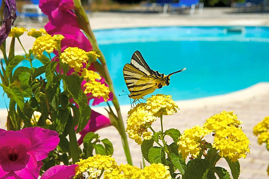 Nikos Studios and Apartments