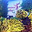 Phönix Hotel