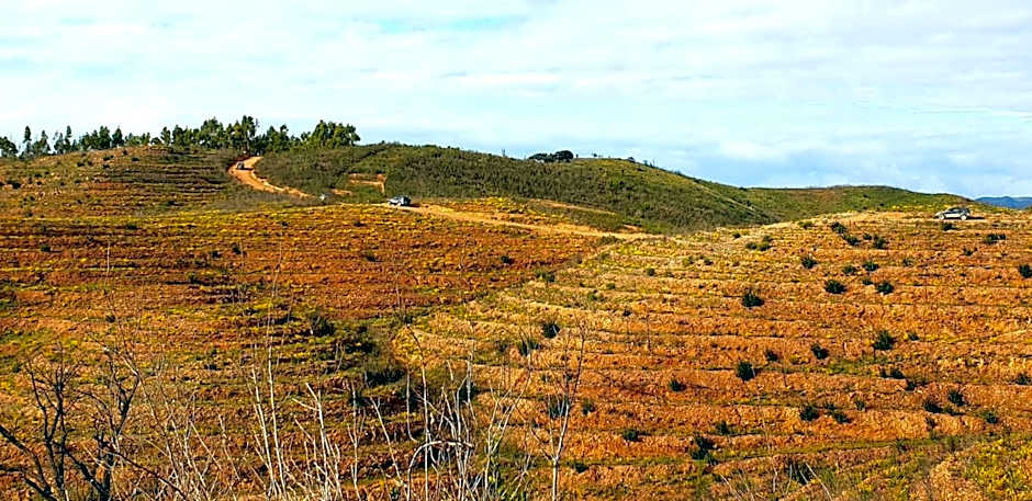 Quinta Pedra Dos Bicos