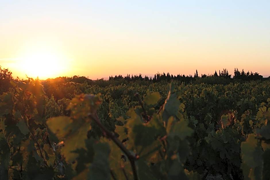 Le Mas de Plein Pagnier