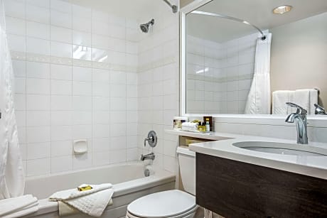 Suite-1 King Bed Non-Smoking Queen Sofabed Jacuzzi Dining Table Microwave And Refrigerator Wi-Fi