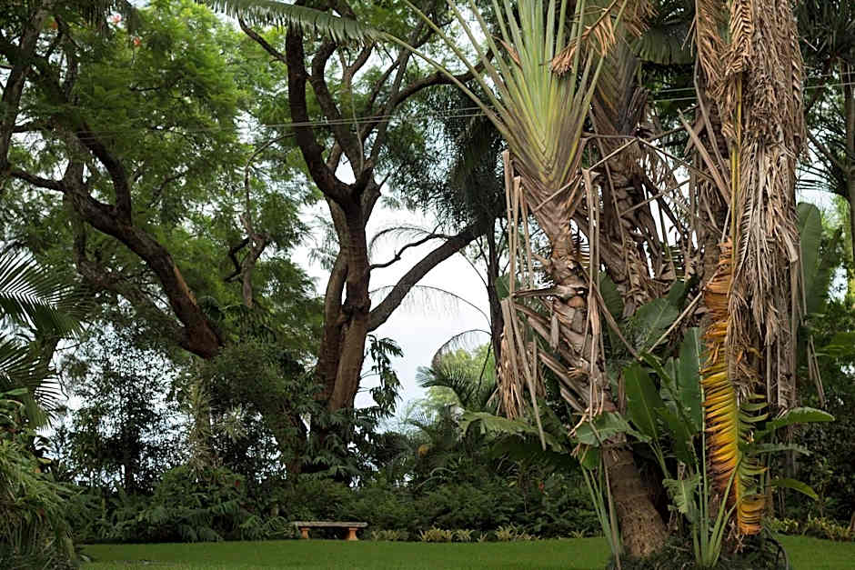St George's Guest House