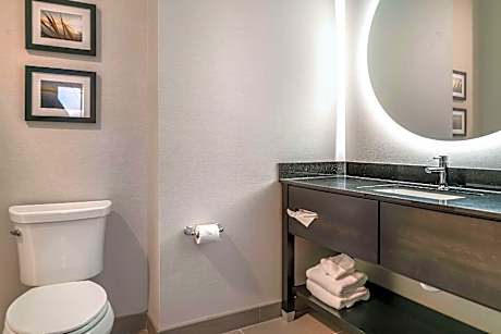 1 King Bed, Suite, Nonsmoking