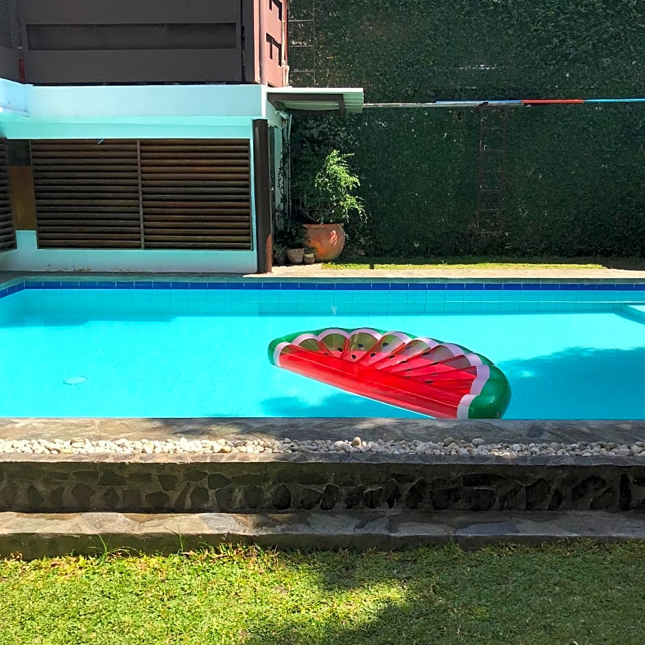 Purple Tree Bed and Breakfast