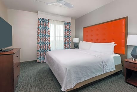 Suite King Bed One Bedroom 