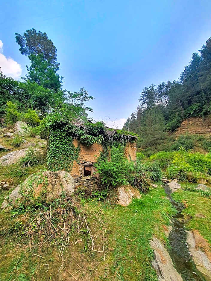 Backwoods Retreat – Shimla, PA