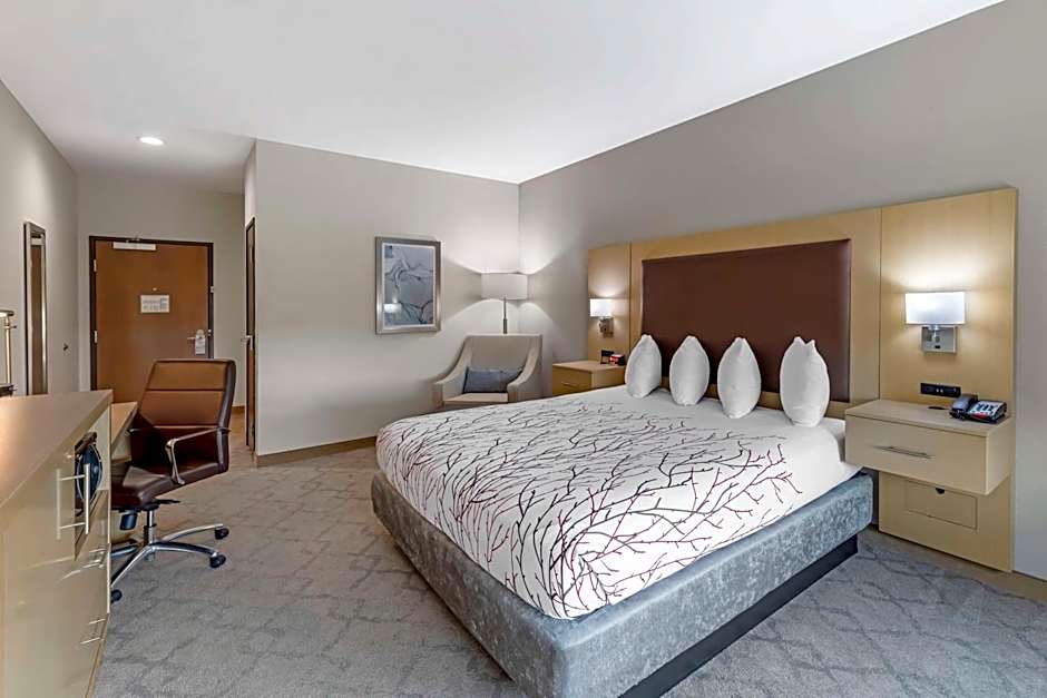 Best Western Plus Chickasha Inn