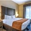 Comfort Suites Near Sam Houston Race Park