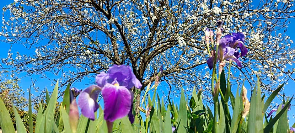 La Croisée des Arts