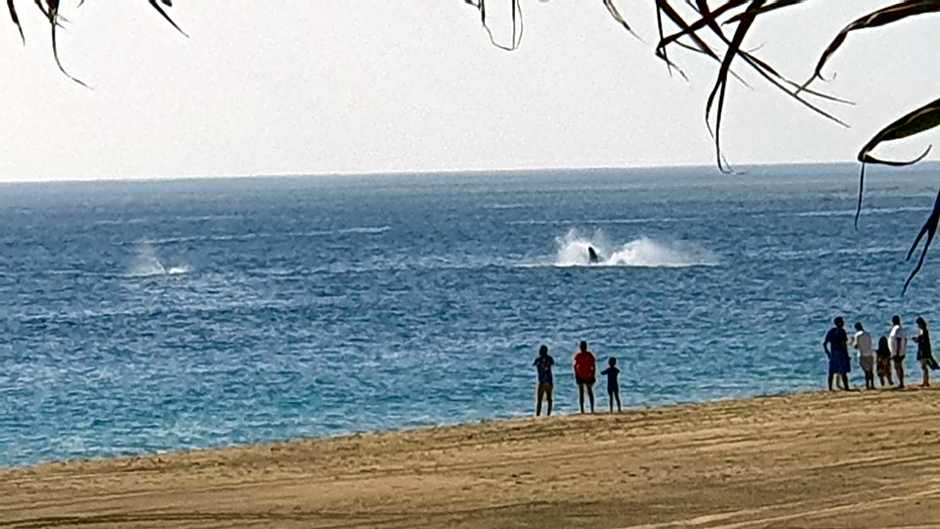 Villa Star of the Sea