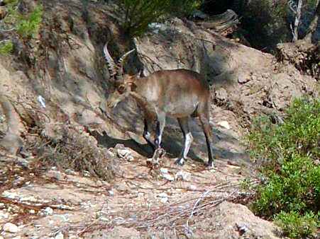 Casa del Renacimiento