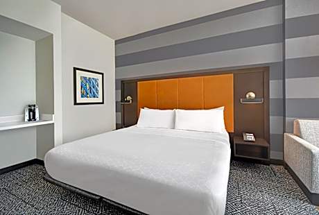 1 King Standard Mobility Accessible Tub