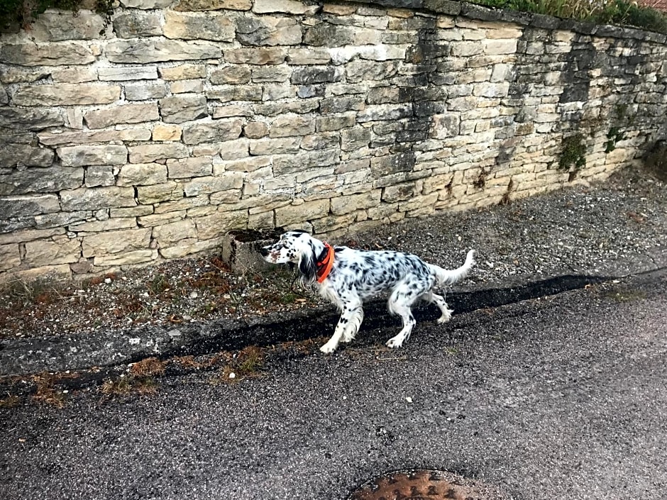 Chez Zoiseau et Zoiseautte