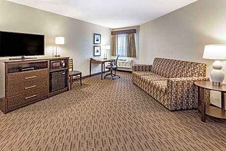 1 King Bed One-Bedroom Deluxe Suite Non-Smoking