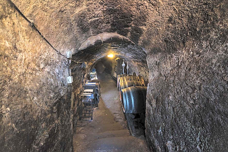 Vaskó Panzió Borpince