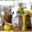 Hotel & Spa Etxegana