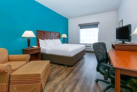 1 King Bed Non-Smoking