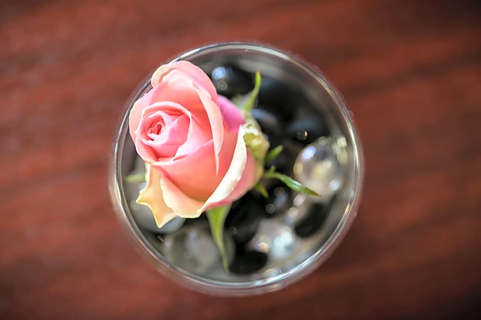 Brit Hotel Rennes Le Castel