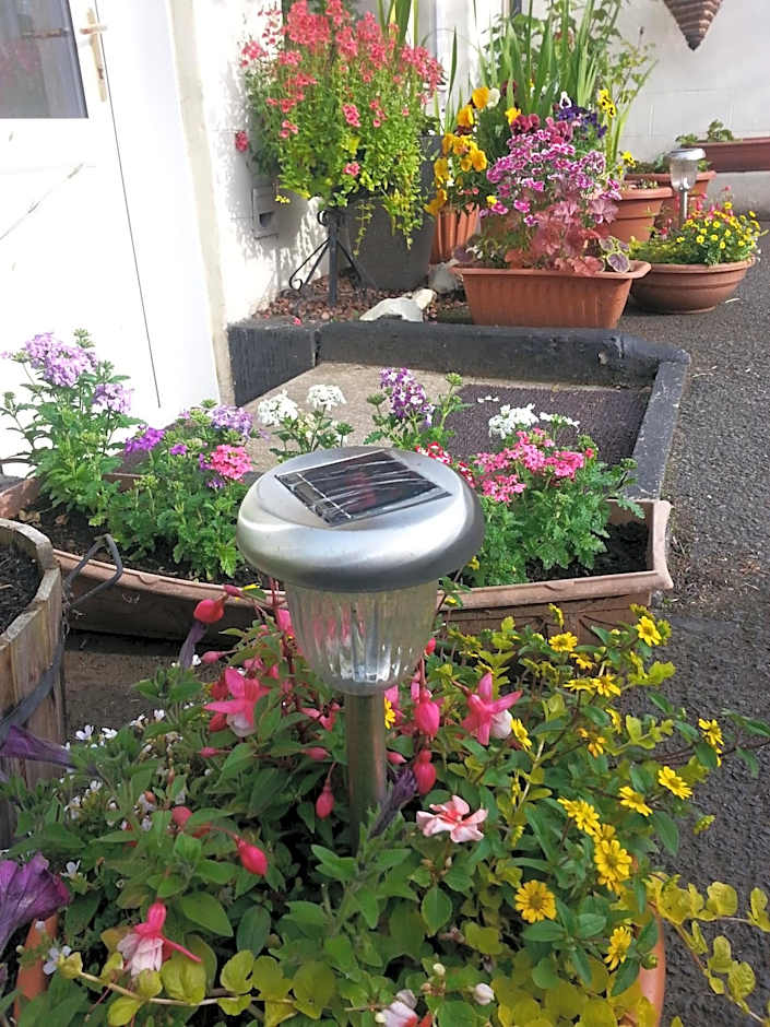 Broomfield House Bed and Breakfast