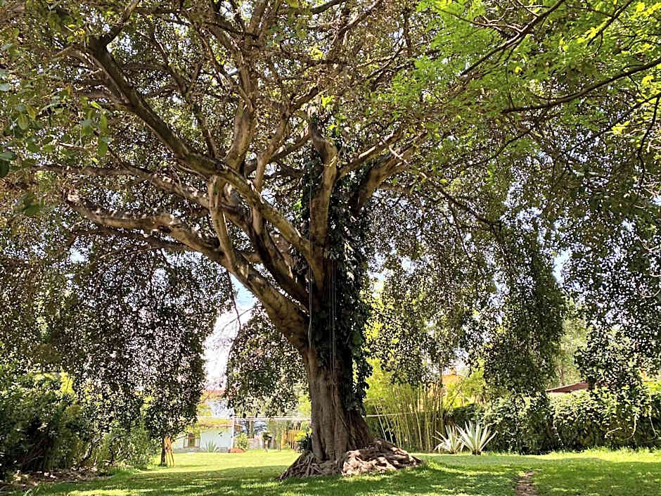 Villa Santa Catarina