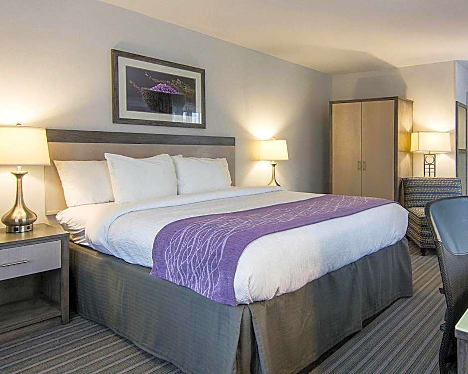 Comfort Inn Williamsburg Gateway