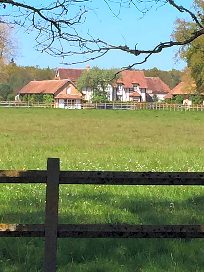 haras du Vignault Le Bûcher