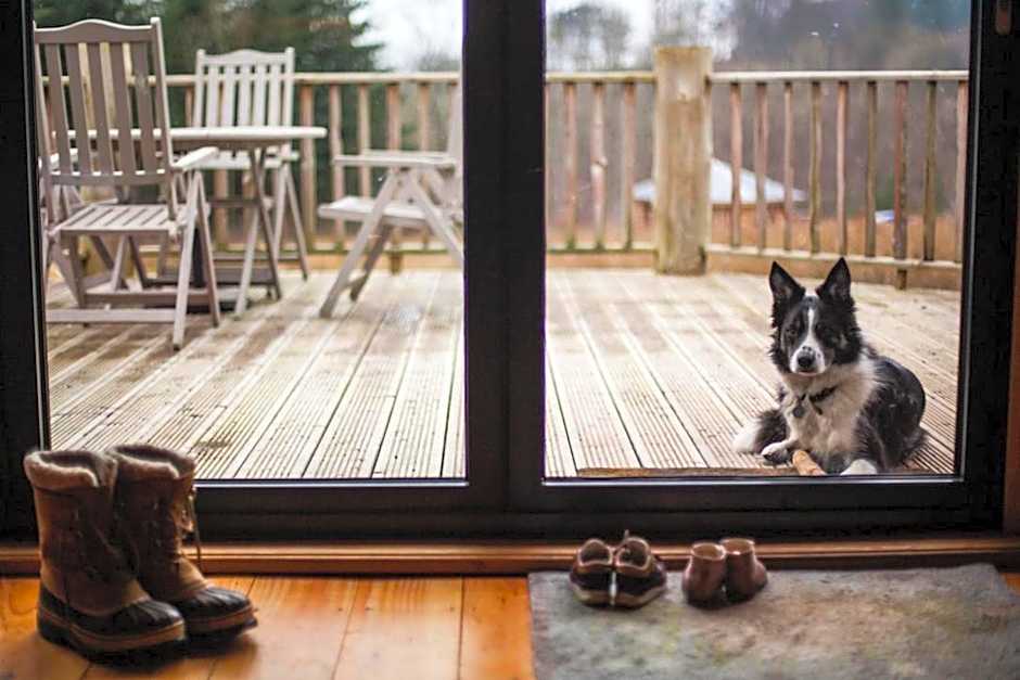Coed y Marchog Woodland Retreat