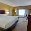 Holiday Inn St. Petersburg N - Clearwater