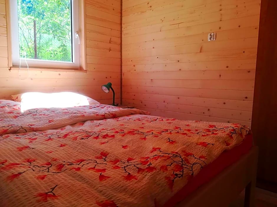 Domki Pod Wiazem Solina 20