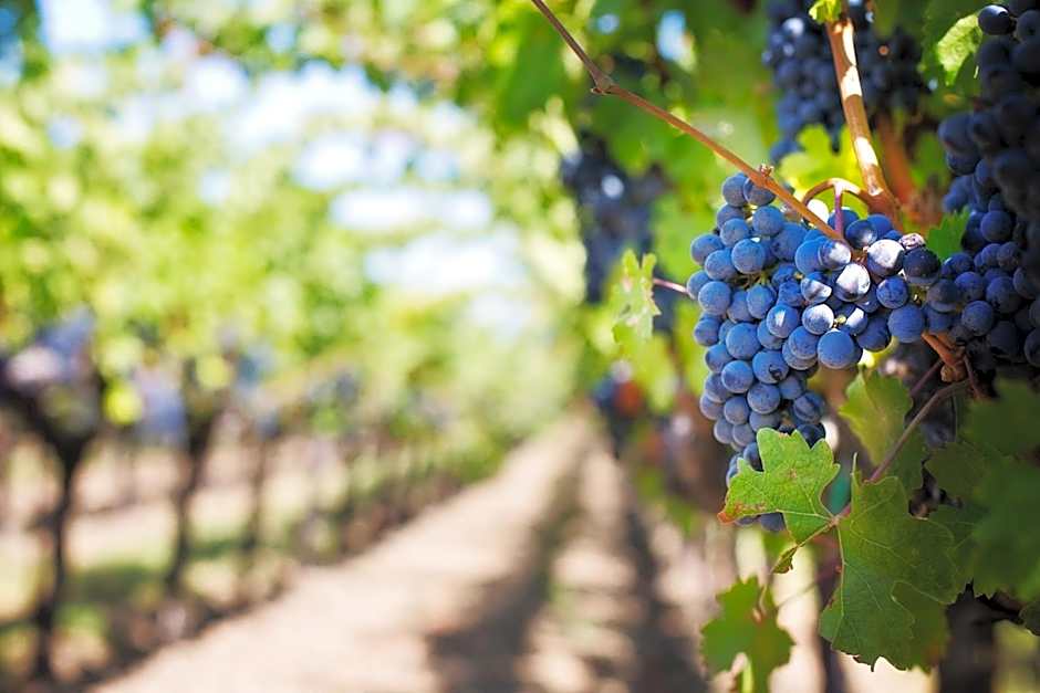 Premiere Classe Bordeaux Sud - Cestas