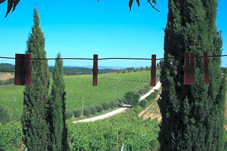 Tenuta Di Monaciano