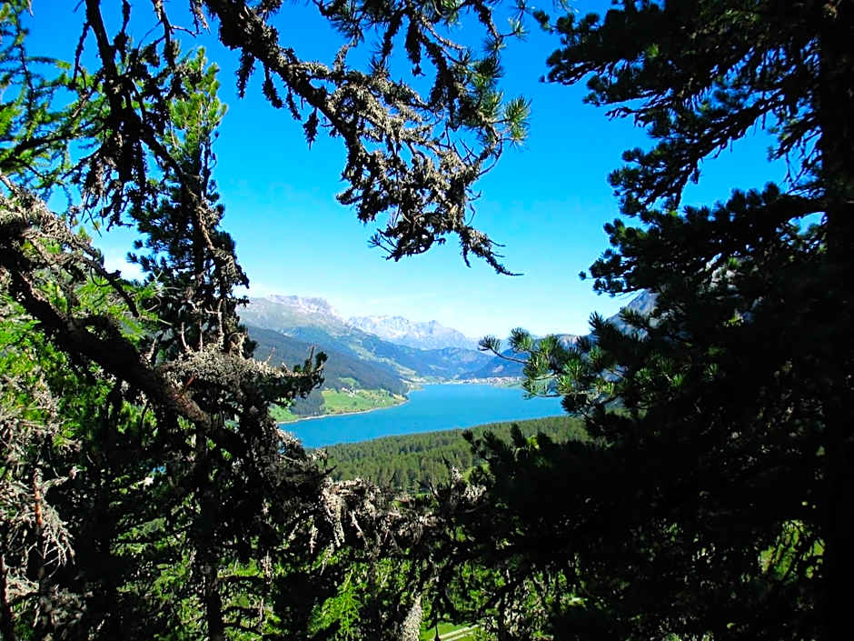 Appartement Sunnleitn