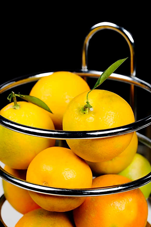 Dar El Marsa Hotel & Spa