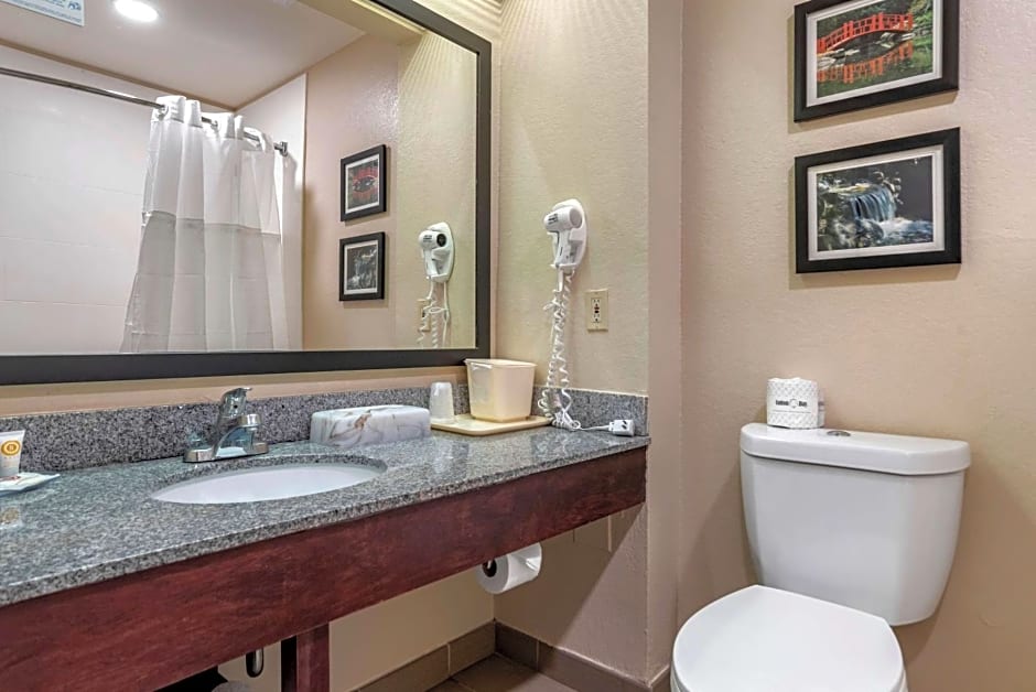 Comfort Inn Birmingham - Irondale