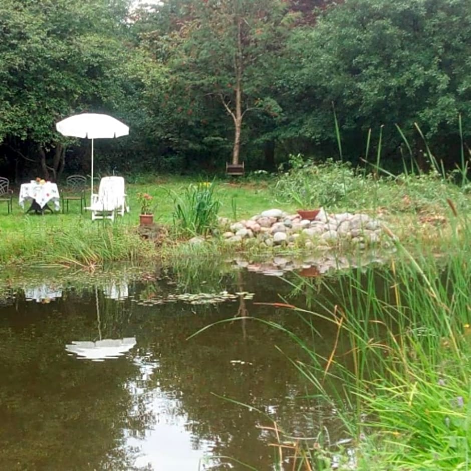 Zimmer mit Teichblick