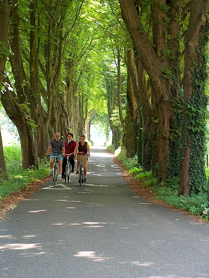 Bed & Breakfast Van Marion