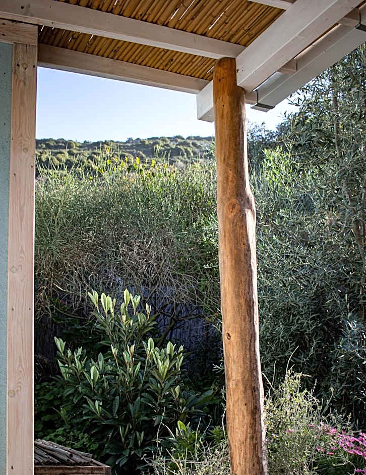 Blue House In The Woods- Amirim