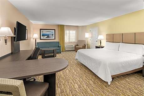 King Studio Suite